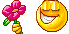 flower :flower: